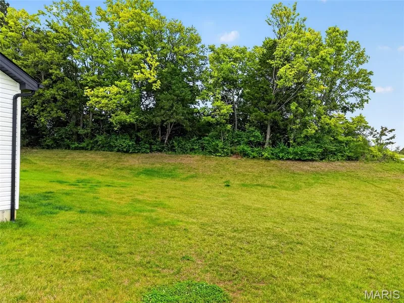 Large level yard, with treelined backyard for privacy — 310 Osprey Court, Lake St. Louis, MO 63367