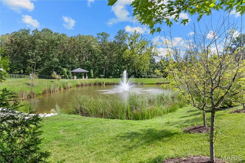 504 Greengage Timber Drive, O'Fallon, MO 63368 — listing photo 3 of 47