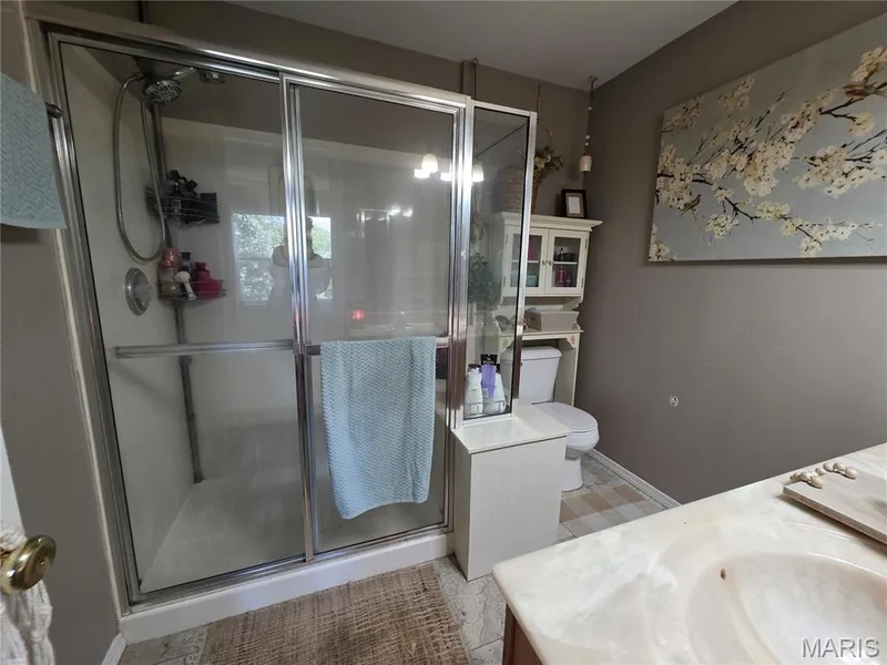 247 Centerfield Drive, O'Fallon, MO 63366 — listing photo 9 of 22