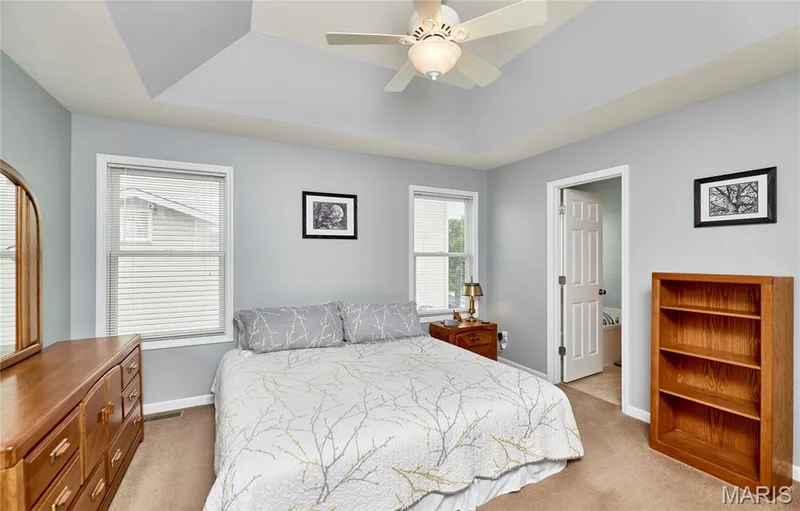 12 Shady River Court, O'Fallon, MO 63366 — listing photo 23 of 42