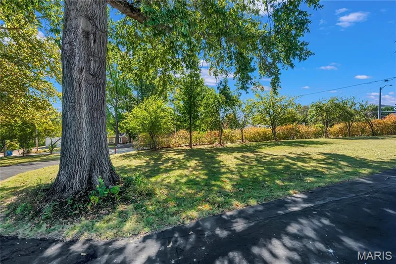 812 Pralle Lane, St Charles, MO 63303 — listing photo 12 of 48