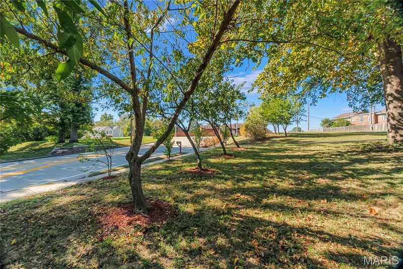 812 Pralle Lane, St Charles, MO 63303 — listing photo 47 of 48