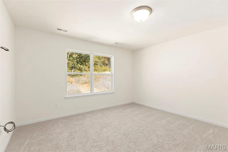 107 Day Lily Lane, Wentzville, MO 63385 — listing photo 14 of 24