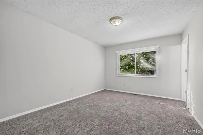 Soft gray carpeting and light-painted walls — 1319 Brandywine Lane, St Peters, MO 63376