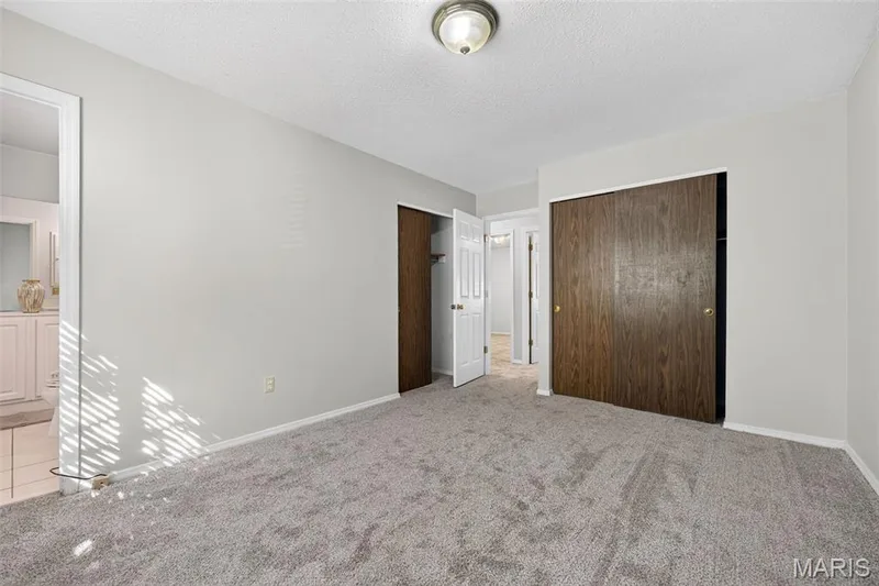Plush gray carpeting with light gray wall paint, featuring two spacious closets with wood-finish doors, and a ceiling-mounted light fixture — 1319 Brandywine Lane, St Peters, MO 63376