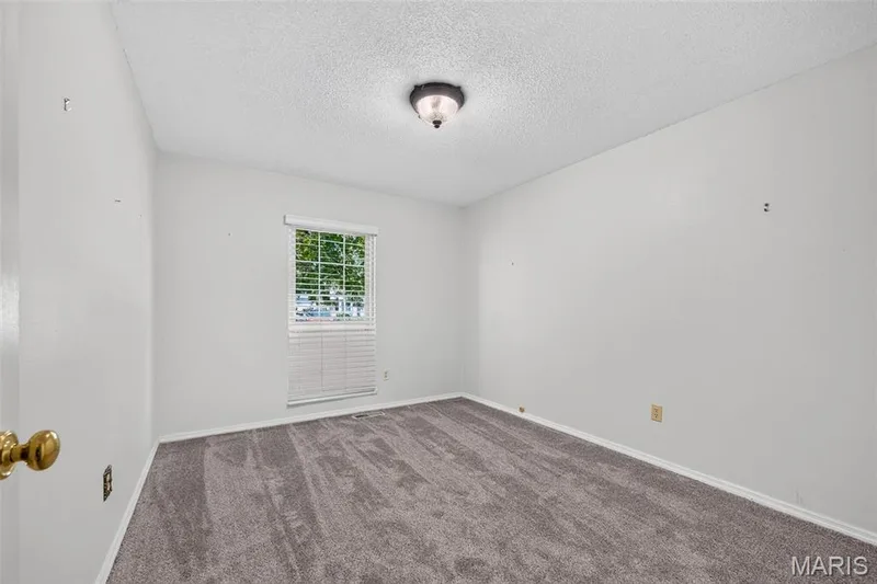 Carpeted flooring, window with horizontal blinds, flush mount ceiling light fixture, and white painted walls — 1319 Brandywine Lane, St Peters, MO 63376