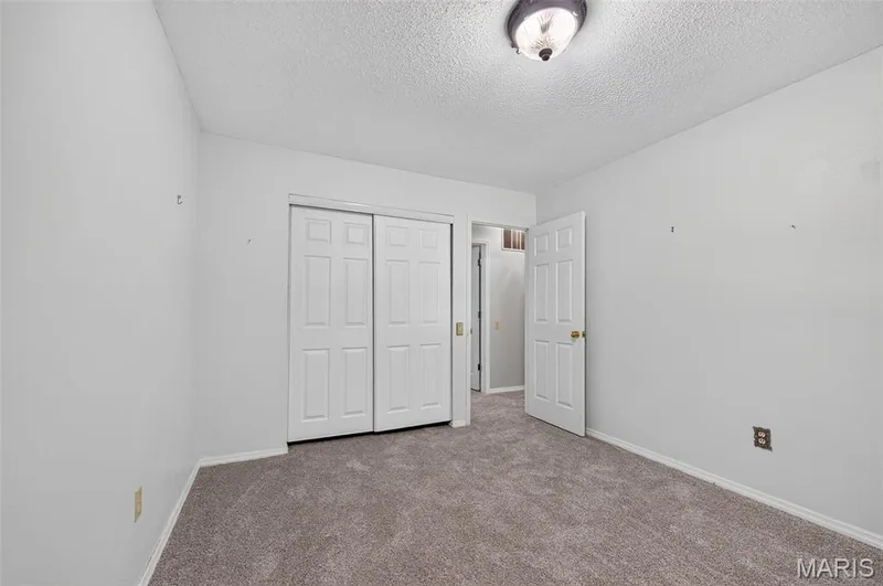 Plush carpet flooring, white painted walls, ceiling-mounted light fixture, sliding closet doors, and a paneled interior door — 1319 Brandywine Lane, St Peters, MO 63376