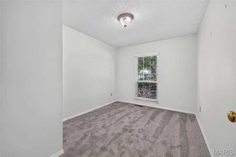 Neutral tone wall paint, textured ceiling, central window with blinds, grey carpeted flooring, and a flush mount ceiling light fixture — 1319 Brandywine Lane, St Peters, MO 63376