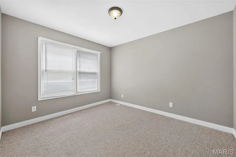 384-386 Shadow Pines Drive, Wentzville, MO 63385 — listing photo 63 of 73