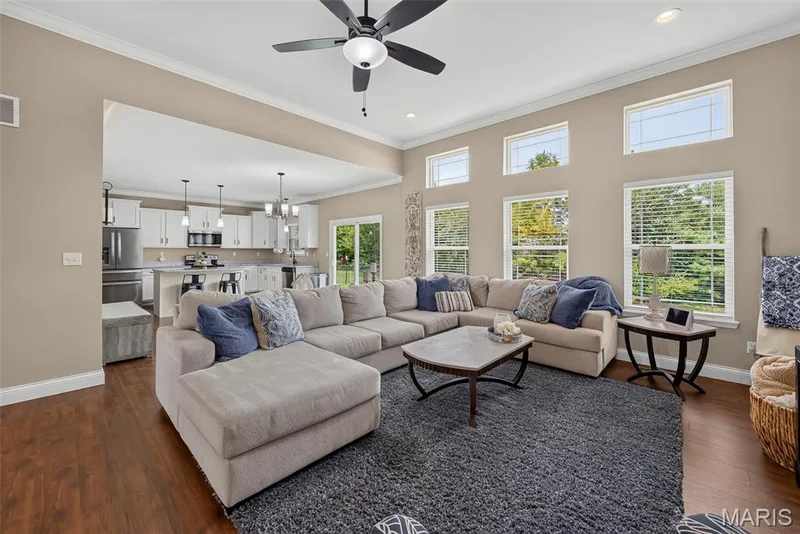 103 Pomodora Circle, Wentzville, MO 63385 — listing photo 8 of 49