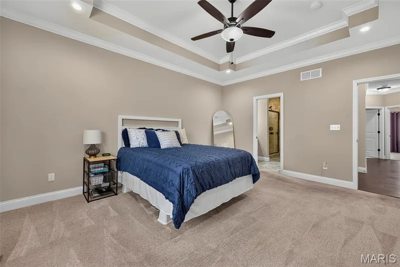 103 Pomodora Circle, Wentzville, MO 63385 — listing photo 22 of 49