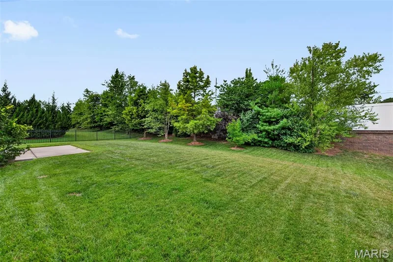 Trees for added privacy — 103 Pomodora Circle, Wentzville, MO 63385