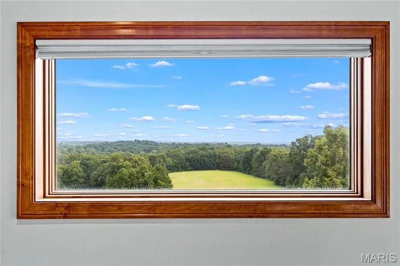 Expansive window featuring a warm wood-finish frame and roller shade — 205 Howell Road, Defiance, MO 63341