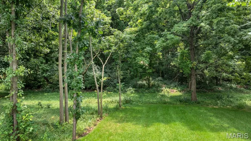8 Highland Place, Wentzville, MO 63385 — listing photo 72 of 75