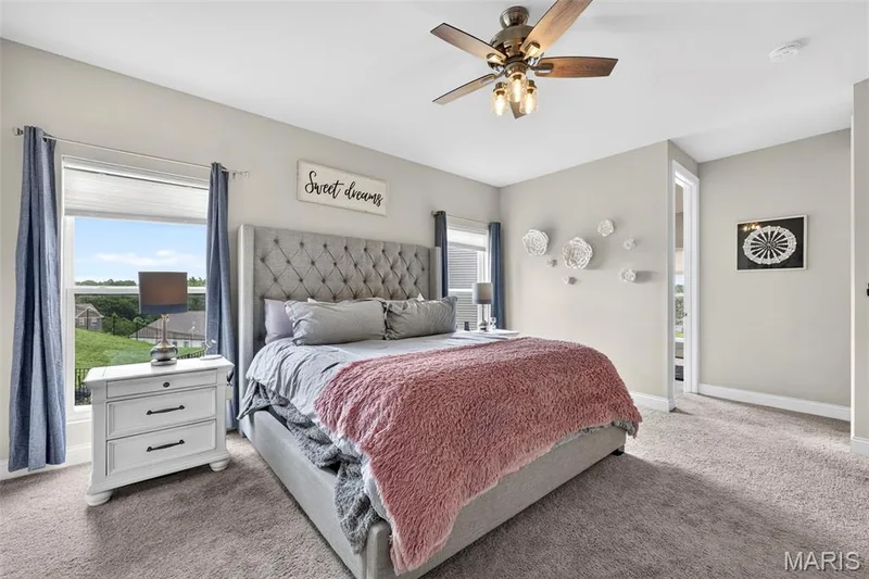 3 Gianna Court, St Charles, MO 63303 — listing photo 17 of 58