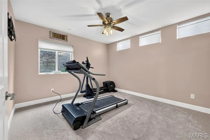 3 Gianna Court, St Charles, MO 63303 — listing photo 42 of 58