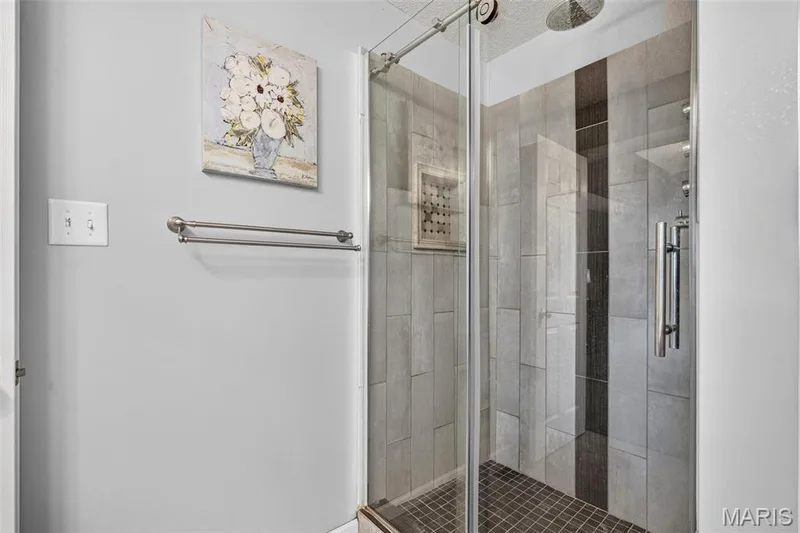 307 Camilla Drive, O'Fallon, MO 63366 — listing photo 26 of 41
