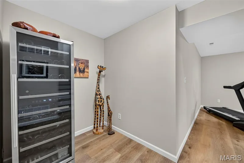 Finished Basement — 3253 Camp Street, St Charles, MO 63301
