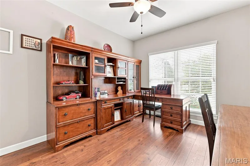 248 Pierce View Circle, Wentzville, MO 63385 — listing photo 7 of 50