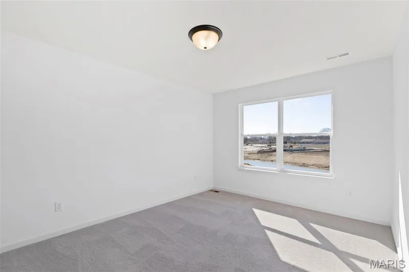 2 Belmont at Post Farms Meadows, O'Fallon, MO 63385 — listing photo 16 of 20