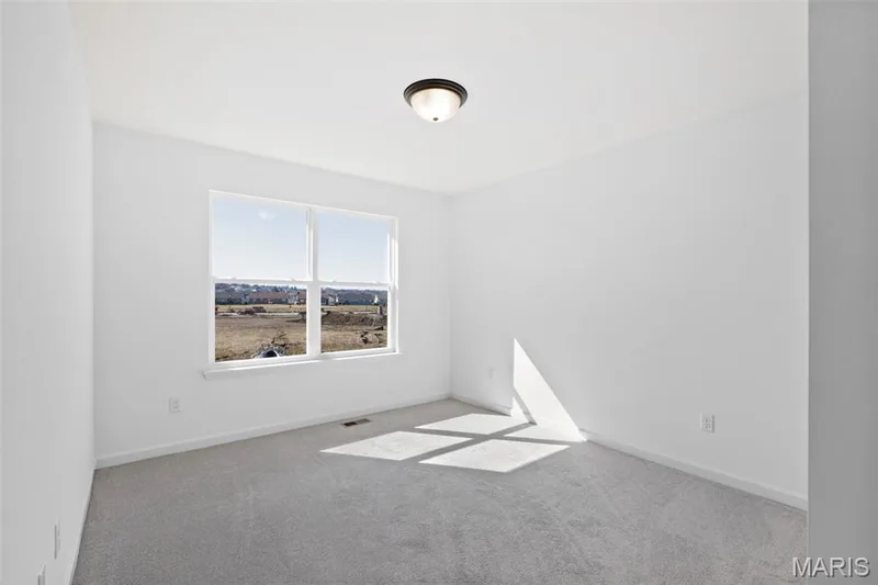 2 Belmont at Post Farms Meadows, O'Fallon, MO 63385 — listing photo 17 of 20