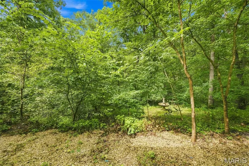 19111 Foxfire Forest Road, Wildwood, MO 63069 — listing photo 28 of 30