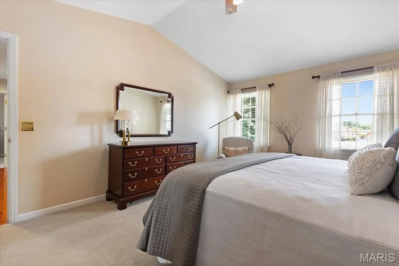 Natural & Overhead Lighting — 1131 Black Forest Drive, St Charles, MO 63301