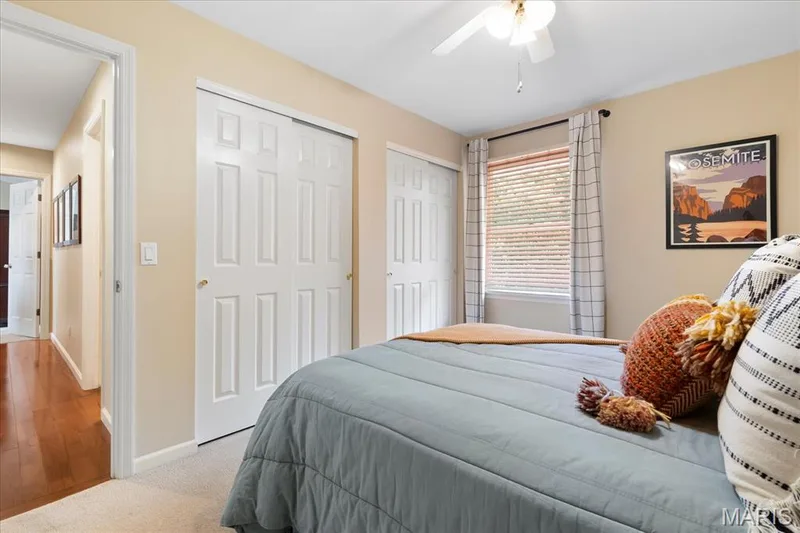 Natural & Overhead Lighting — 1131 Black Forest Drive, St Charles, MO 63301