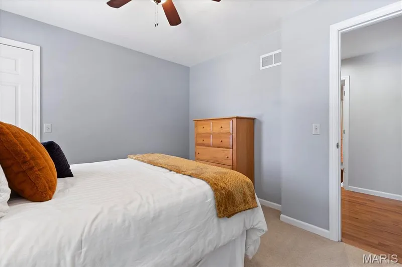 Carpet — 1131 Black Forest Drive, St Charles, MO 63301