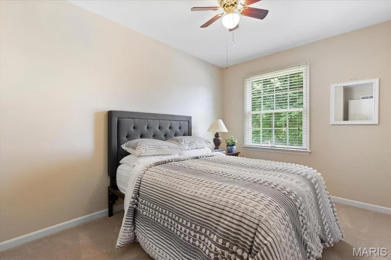 Natural & Overhead Lighting — 1131 Black Forest Drive, St Charles, MO 63301