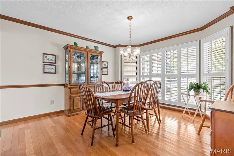 Dining Room or Home Office — 358 Carriage Trail Court, O'Fallon, MO 63368