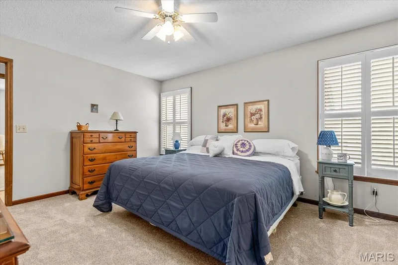 New Carpet — 358 Carriage Trail Court, O'Fallon, MO 63368