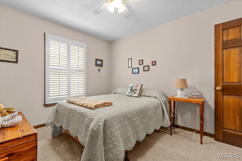 New Carpet — 358 Carriage Trail Court, O'Fallon, MO 63368