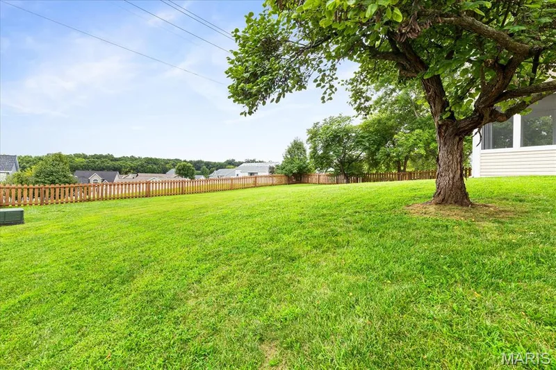 Some Trees — 312 Thoreau Boulevard, O'Fallon, MO 63366