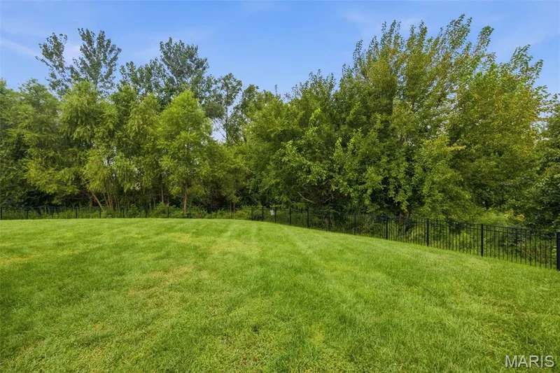 454 Honeysuckle Creek Drive, Wentzville, MO 63385 — listing photo 26 of 33