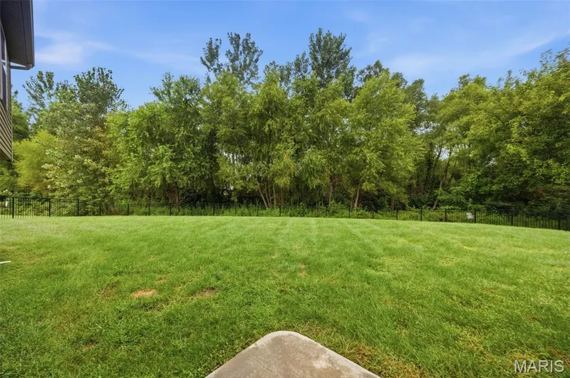 454 Honeysuckle Creek Drive, Wentzville, MO 63385 — listing photo 27 of 33