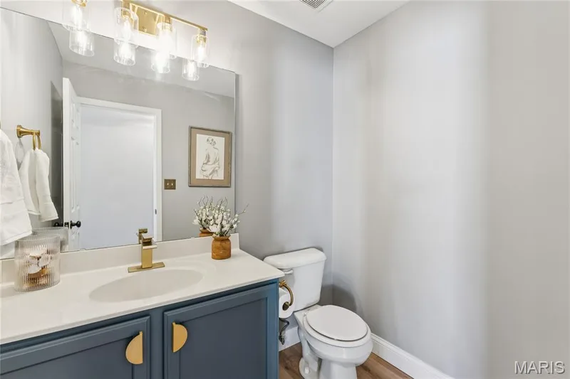 A stylish main-level bathroom adds both convenience and character, featuring a rich-toned vanity, modern gold accents, and updated lighting. — 947 Rolling Thunder Drive, O'Fallon, MO 63368