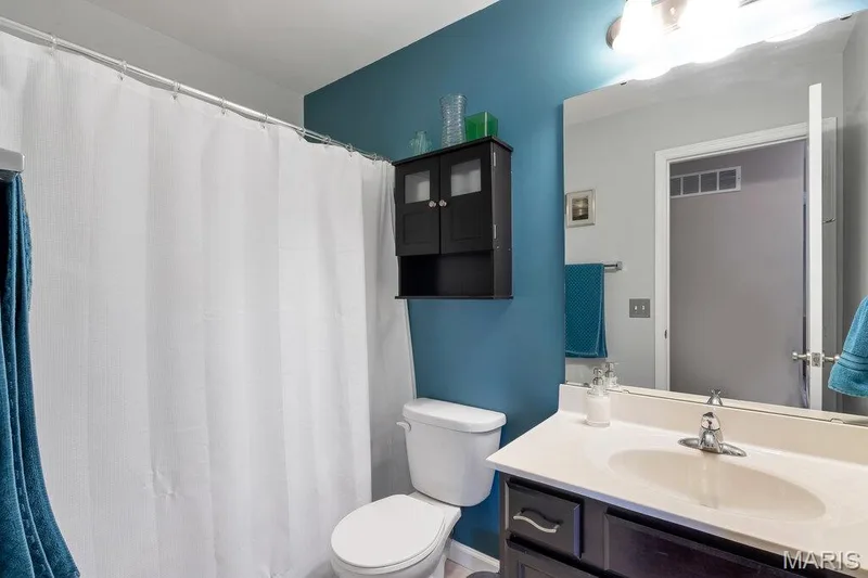 211 Discovery Village Circle, Wentzville, MO 63385 — listing photo 24 of 48
