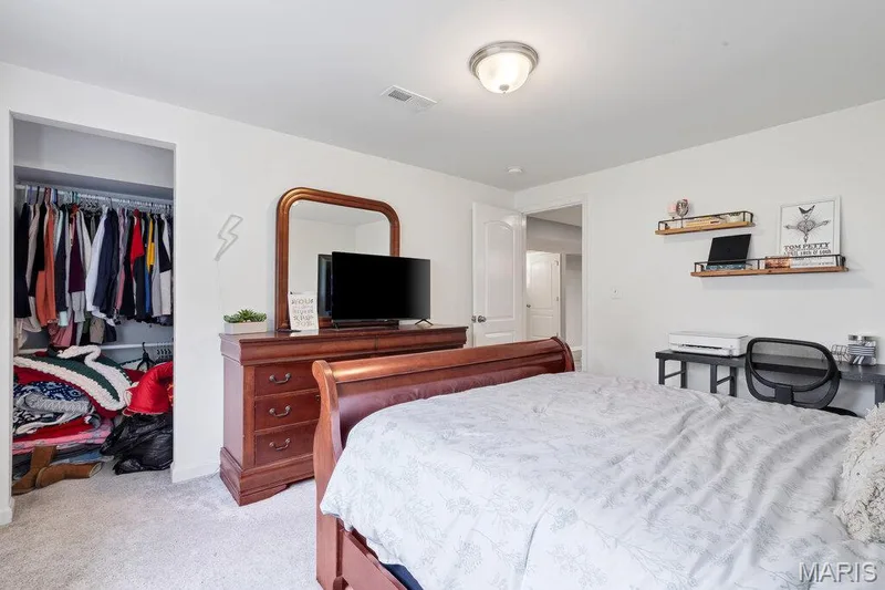 211 Discovery Village Circle, Wentzville, MO 63385 — listing photo 38 of 48