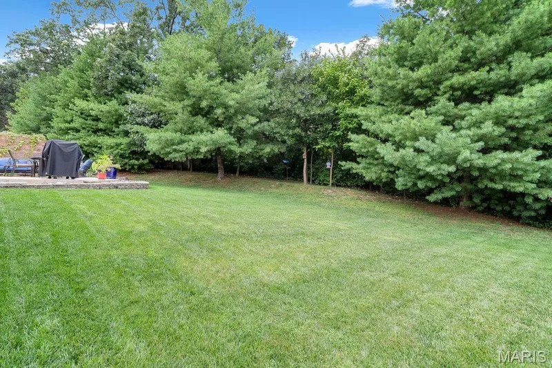 211 Discovery Village Circle, Wentzville, MO 63385 — listing photo 47 of 48