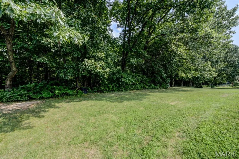 Tree Lined Back Yard — 868 Molloy Drive, O'Fallon, MO 63366