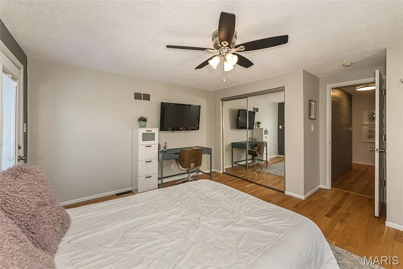 Ceiling fan — 17723 Mueller Road, Wildwood, MO 63038