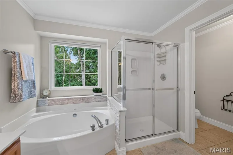 932 Bentley Park Circle, O'Fallon, MO 63368 — listing photo 87 of 89