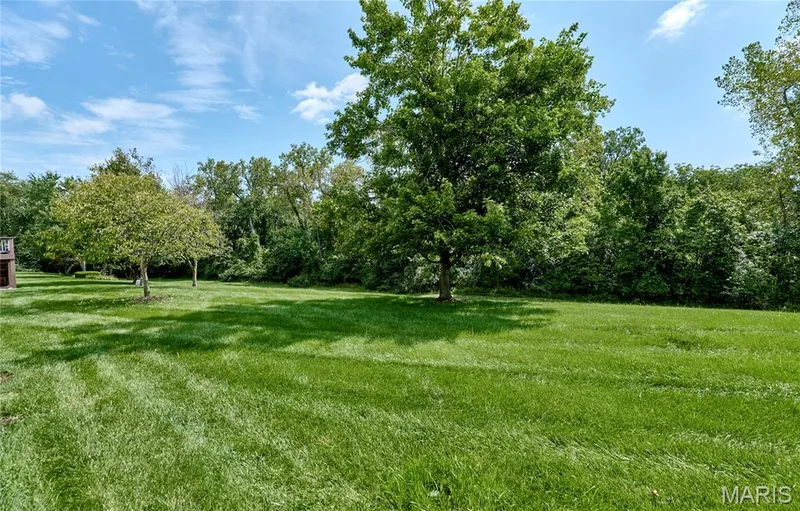 239 Park Ridge Drive #74B, O'Fallon, MO 63366 — listing photo 66 of 72