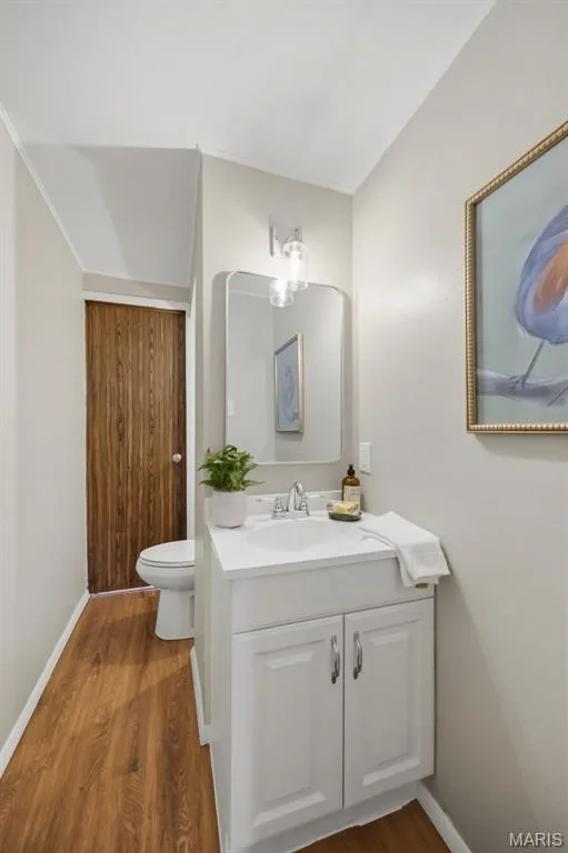 165 Saddleford Drive, Chesterfield, MO 63017 — listing photo 27 of 42