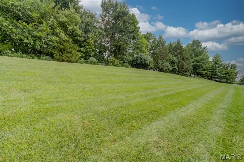 1305 Renaissance Place, Weldon Spring, MO 63304 — listing photo 56 of 66