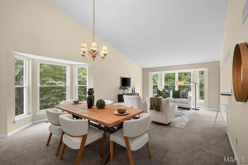 36 Turtle Creek Villas Drive, O'Fallon, MO 63366 — listing photo 3 of 38