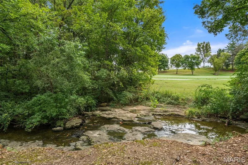 36 Turtle Creek Villas Drive, O'Fallon, MO 63366 — listing photo 33 of 38