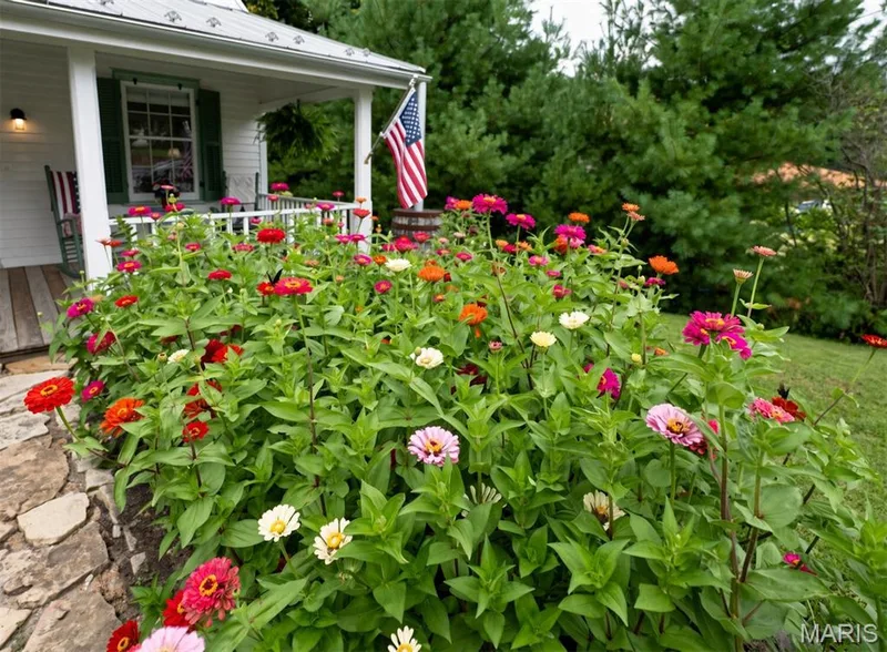 215 Jackson Street, Augusta, MO 63332 — listing photo 7 of 33