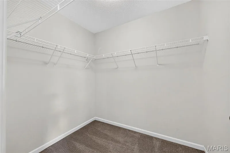 305 Highgrove Place Drive, O'Fallon, MO 63366 — listing photo 28 of 49